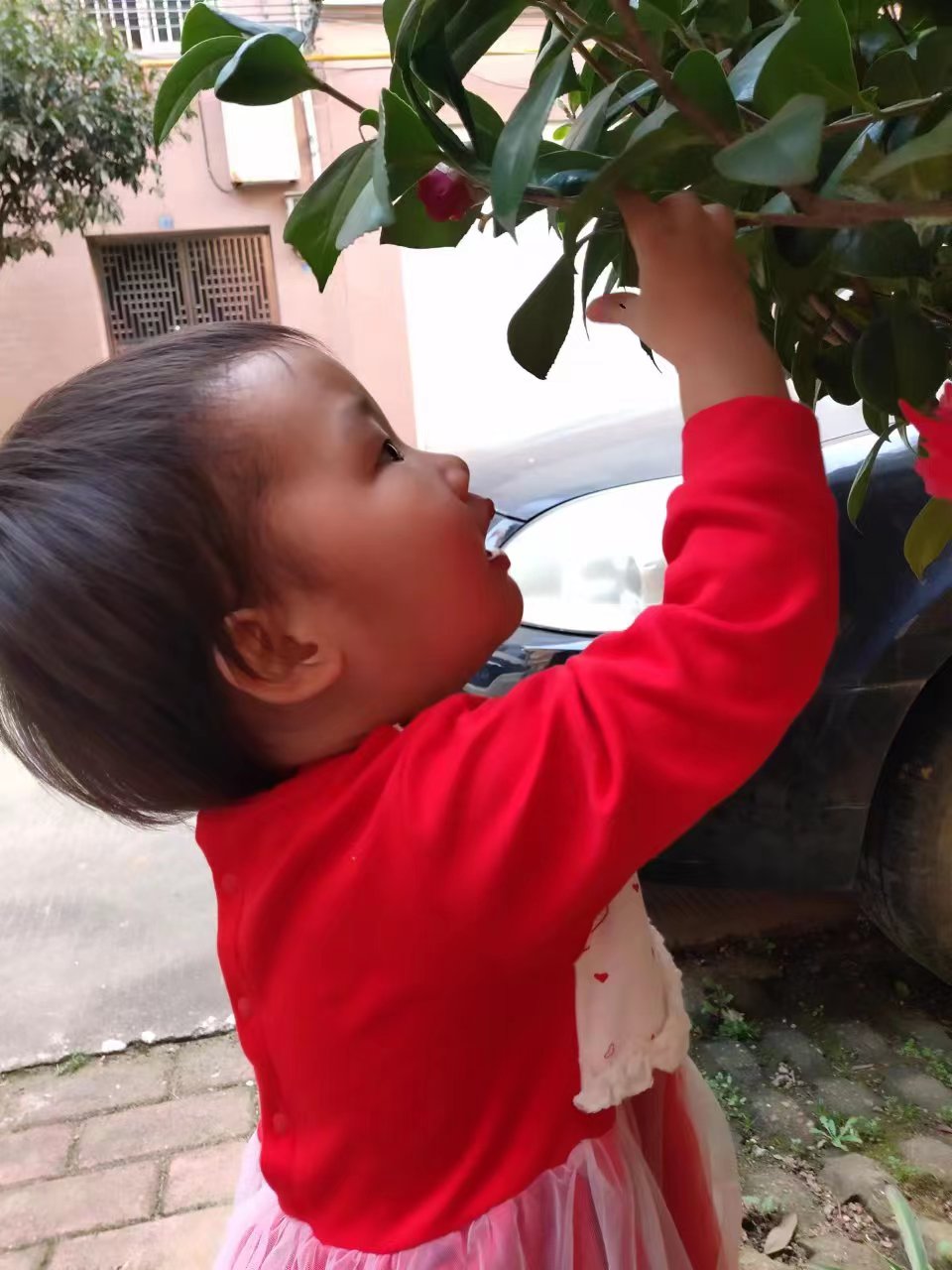 尹俊龙.jpg